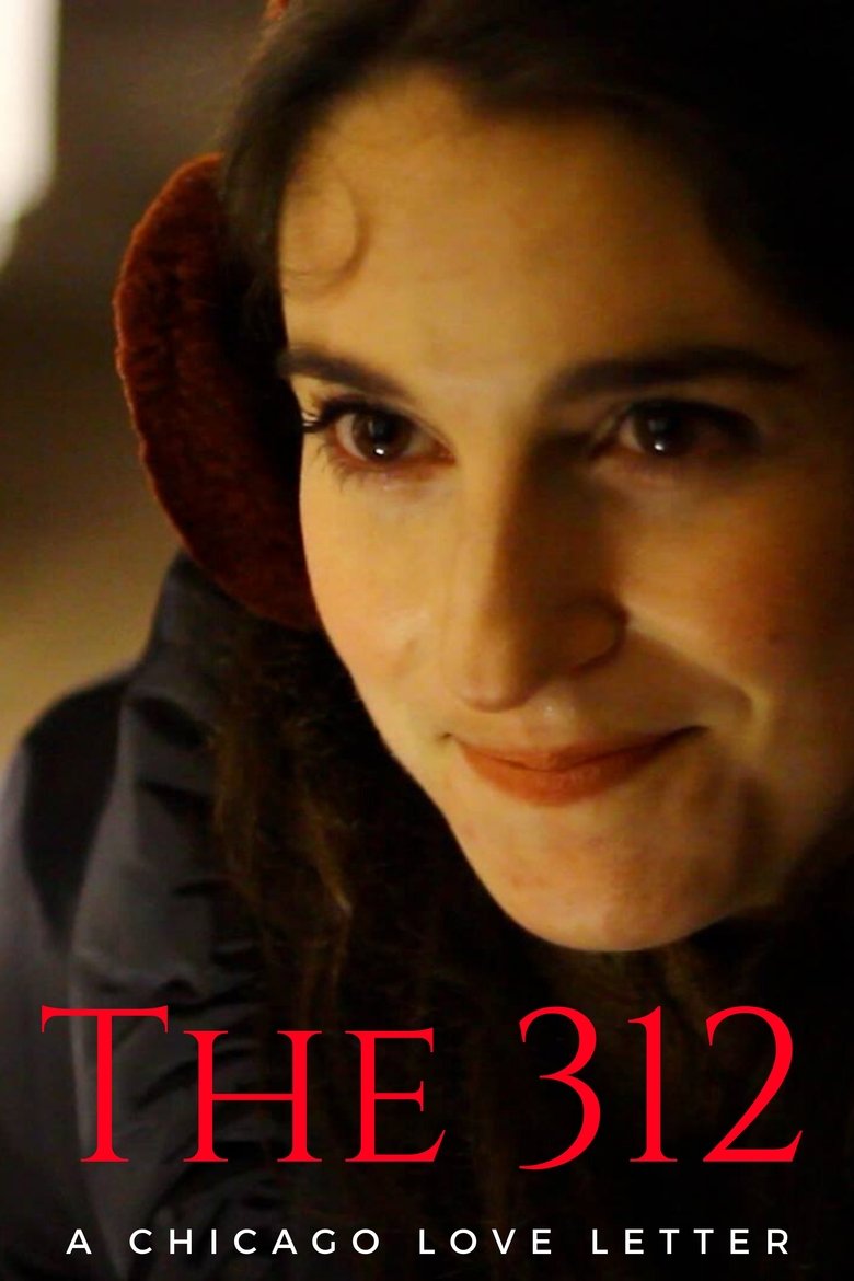 Poster of The 312