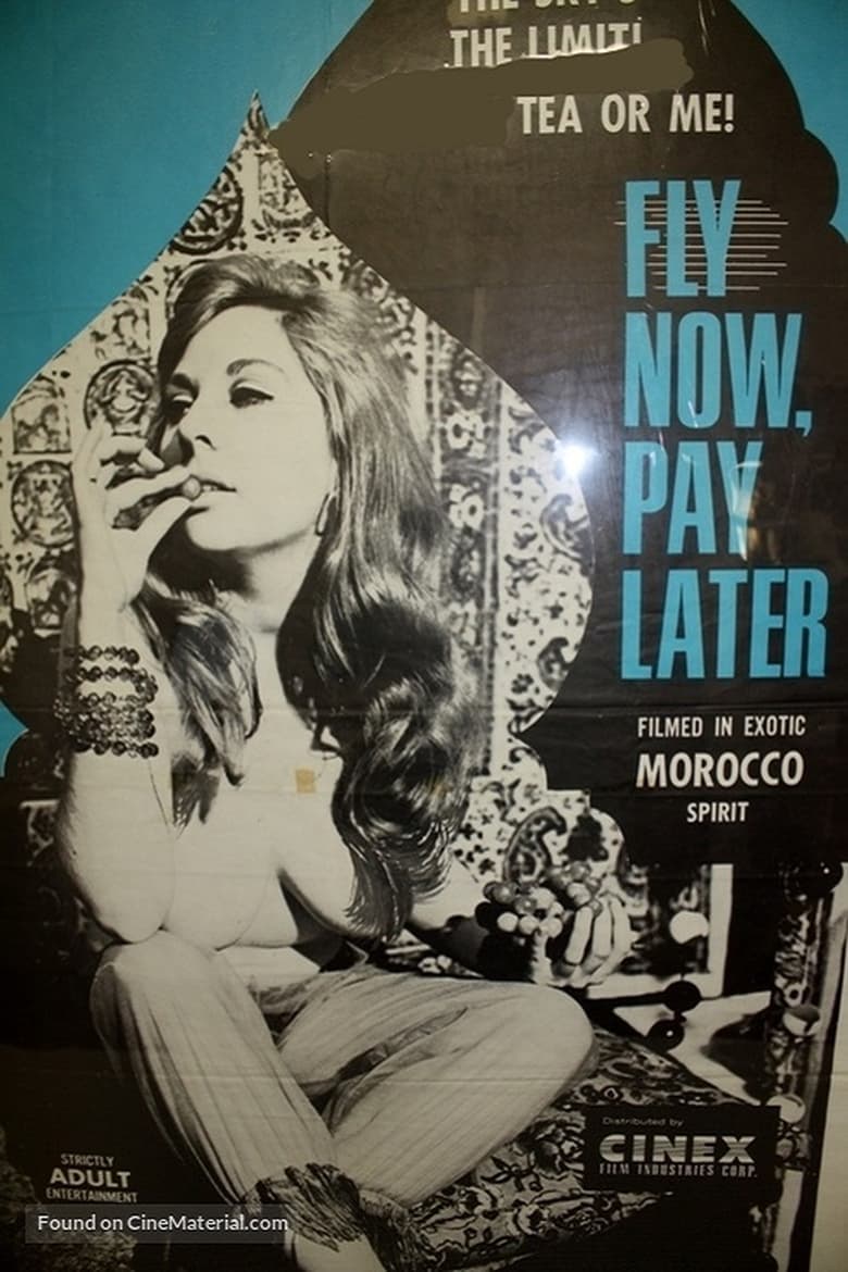 Poster of Fly Now, Pay Later