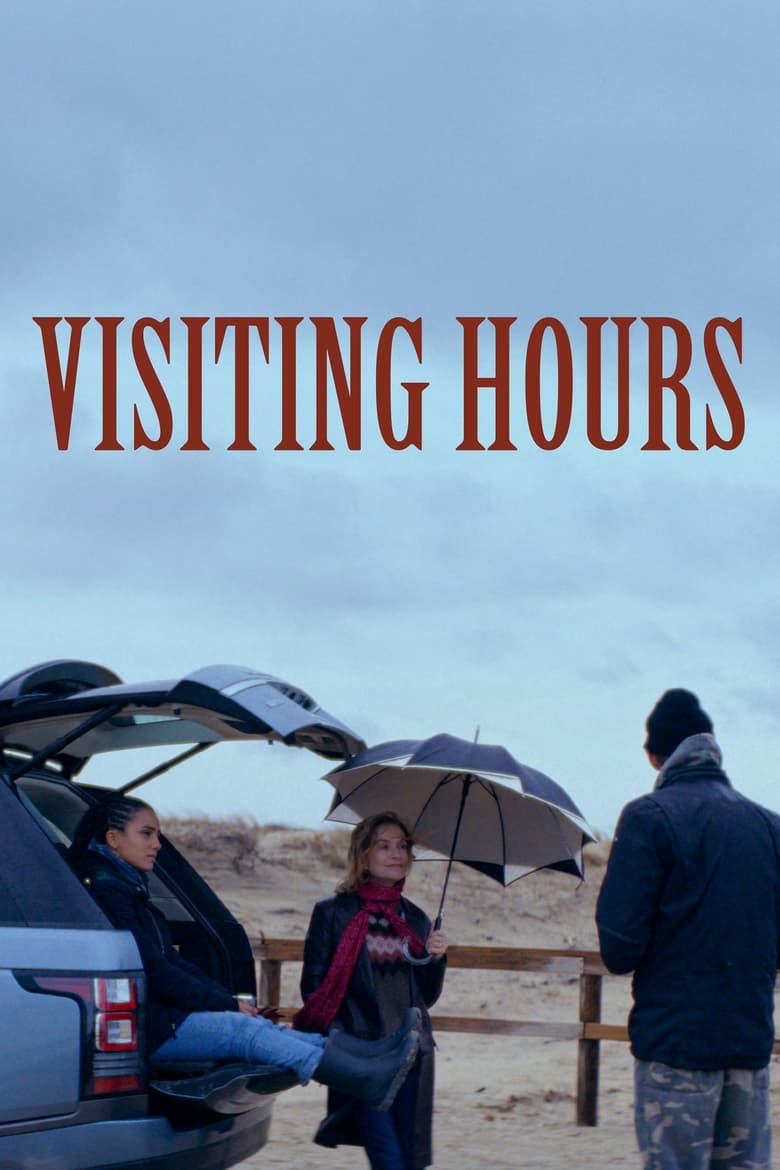 Poster of Visiting Hours