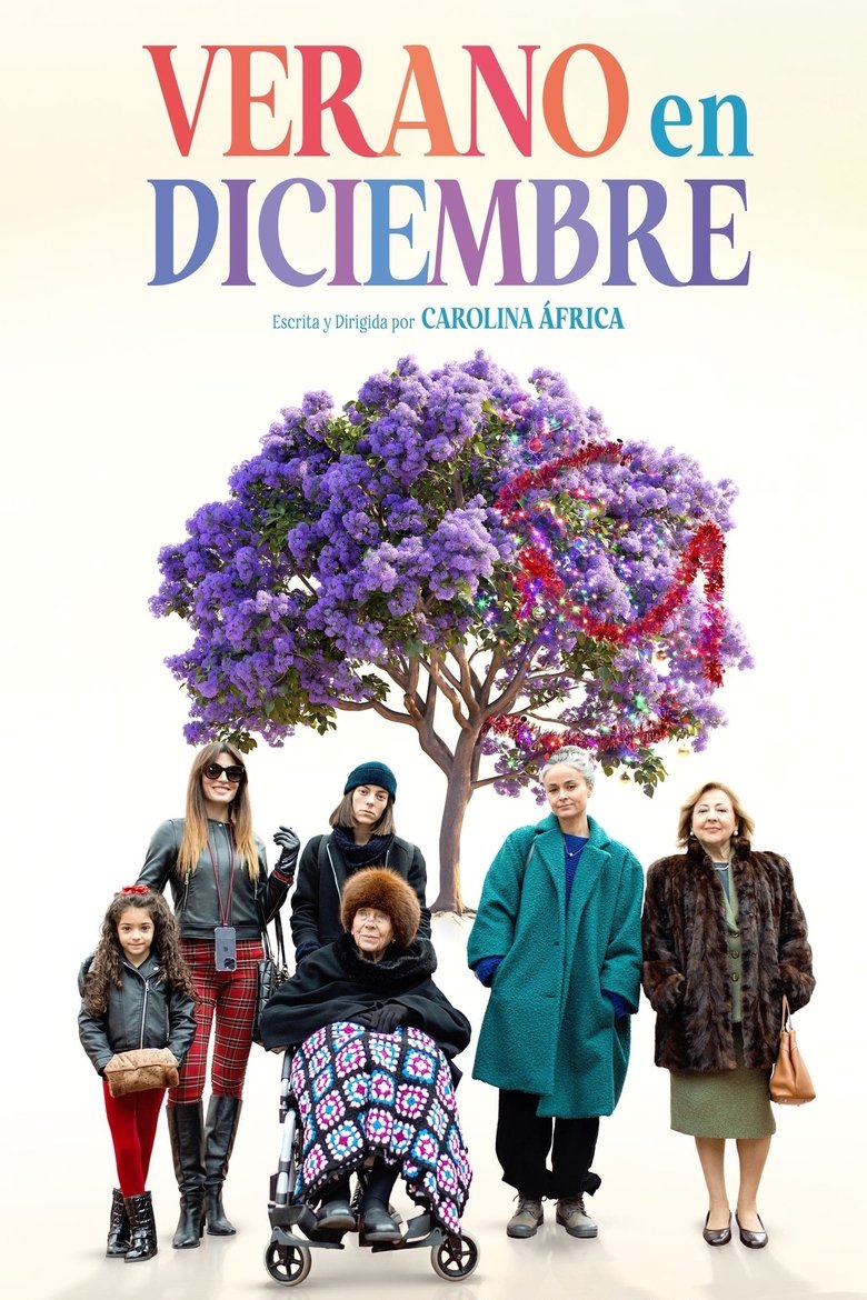 Poster of Verano en diciembre