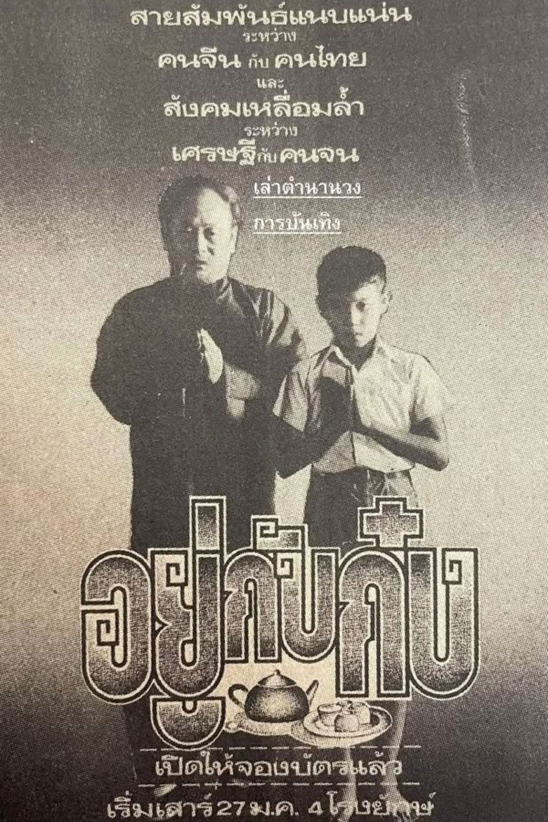 Poster of Living With Gong