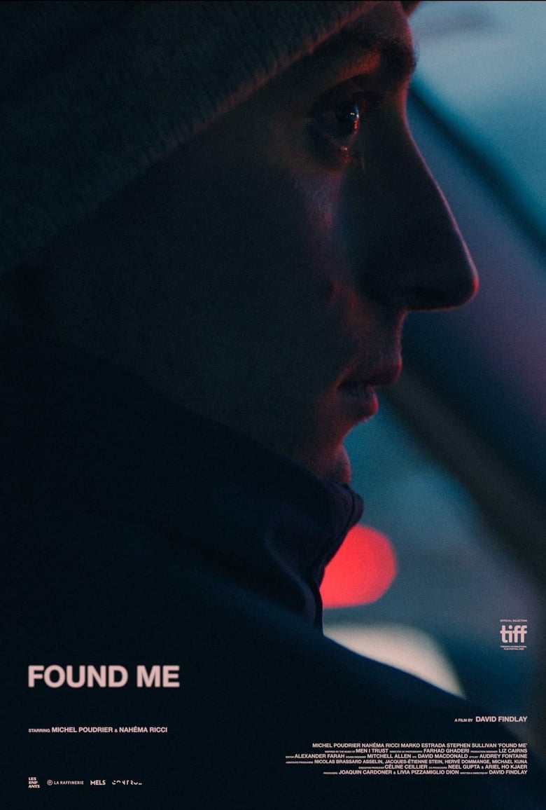 Poster of Found Me