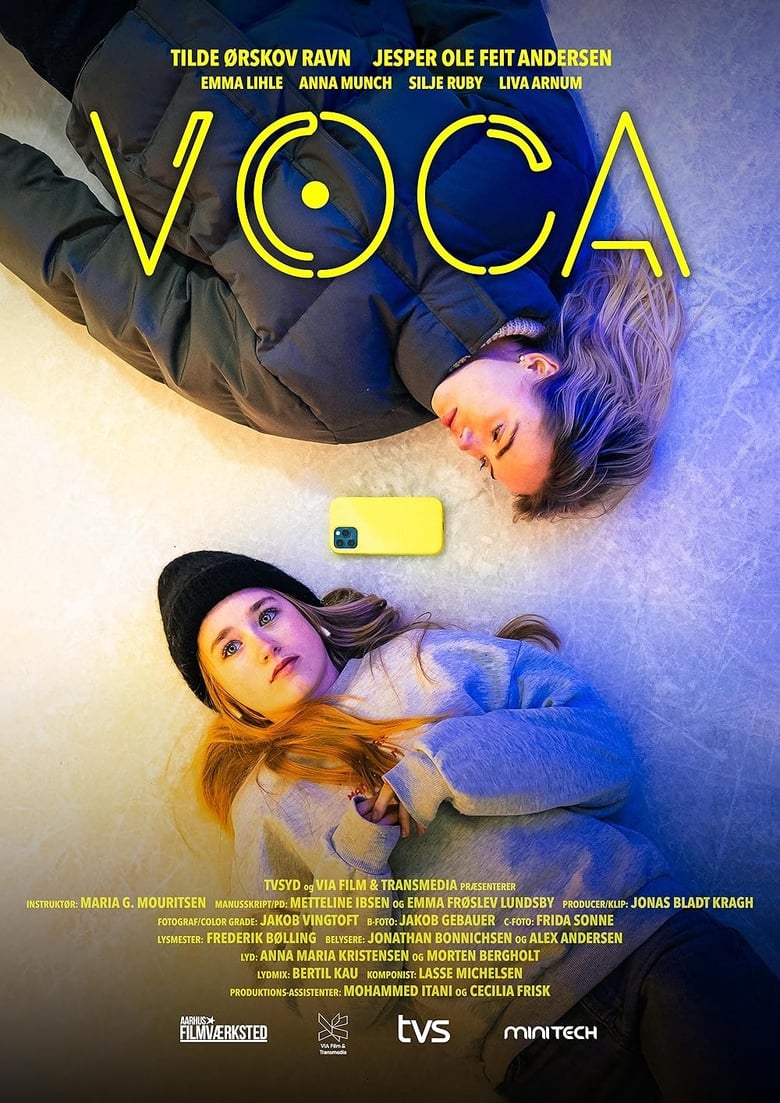 Poster of VOCA