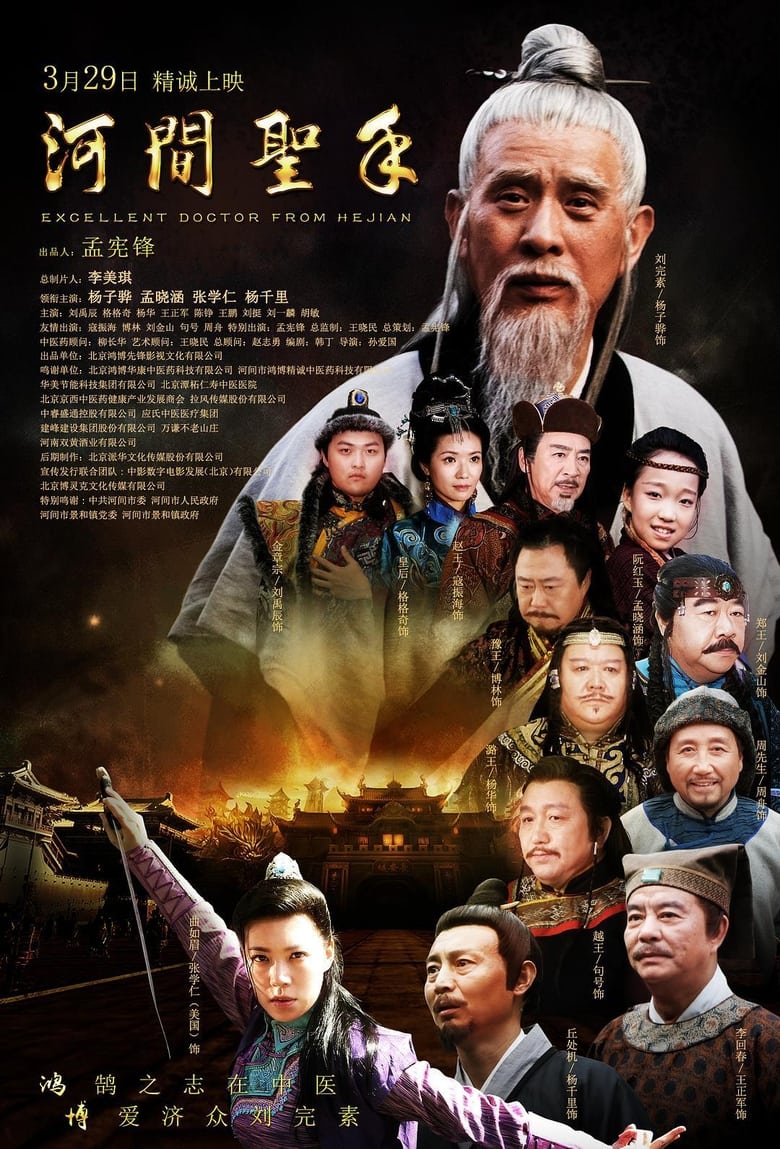 Poster of Excellent Doctor from Hejian