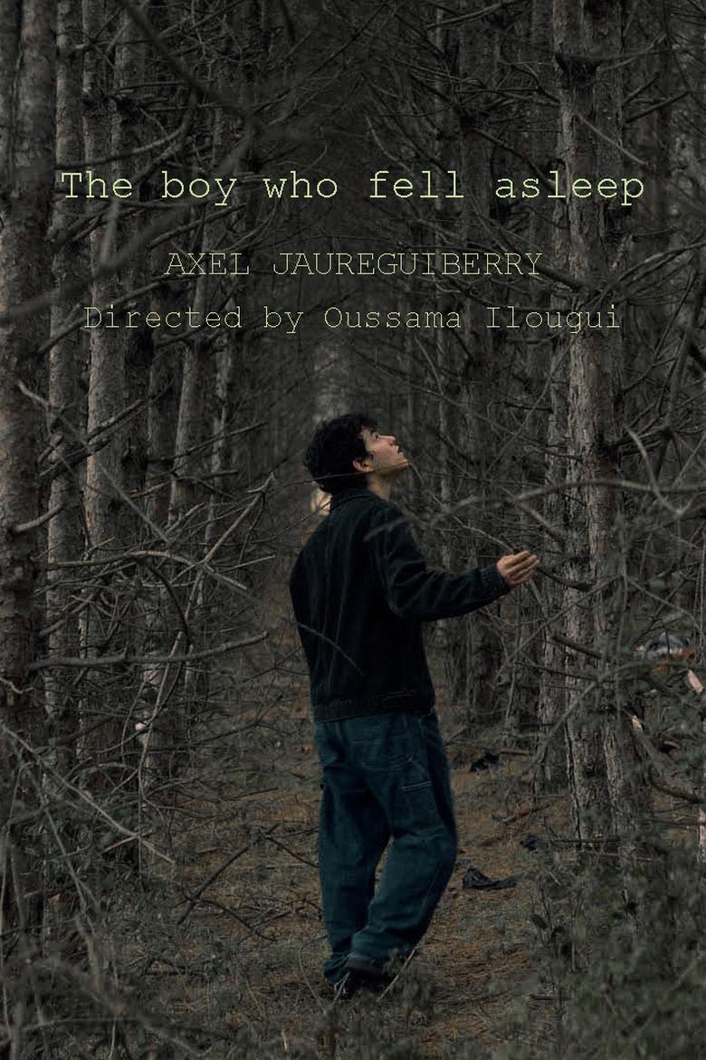 Poster of The boy who fell asleep