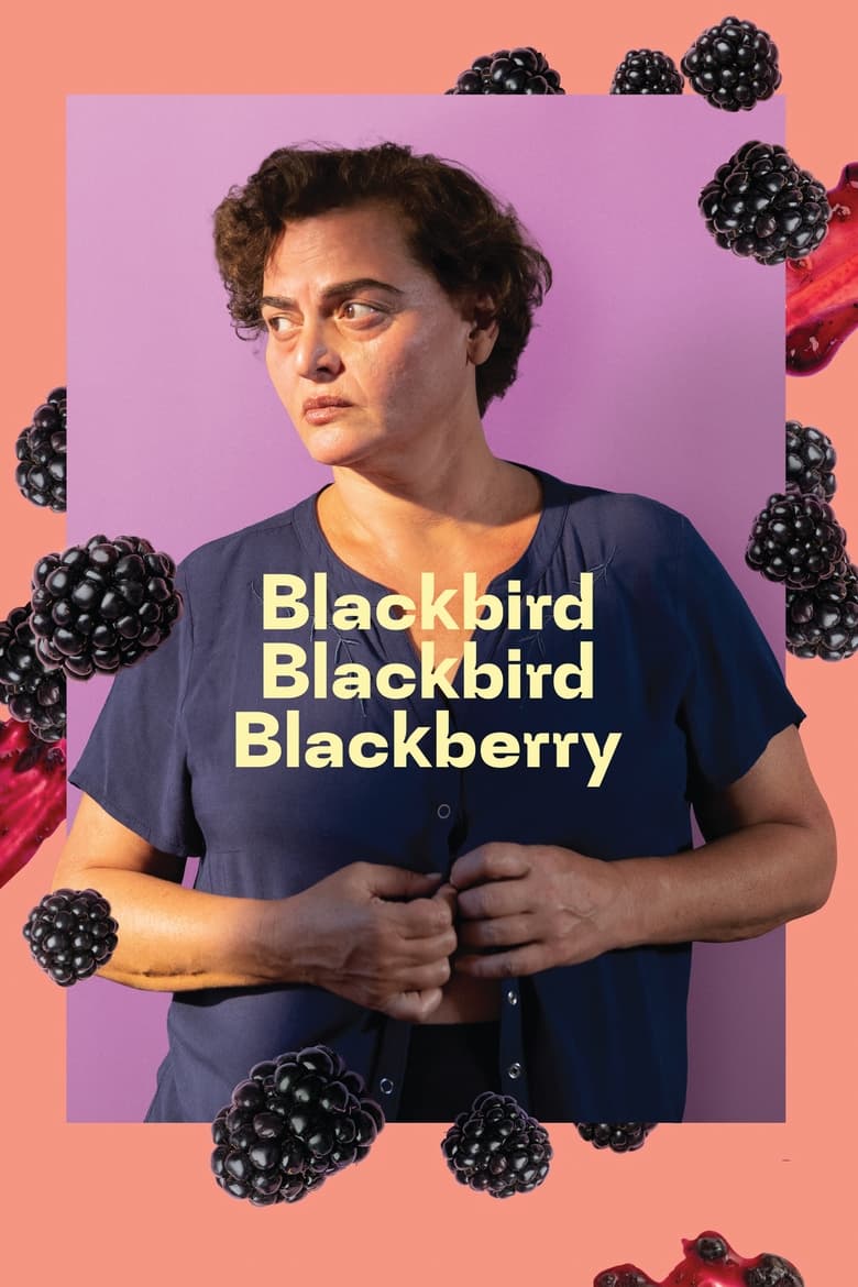 Poster of Blackbird Blackbird Blackberry