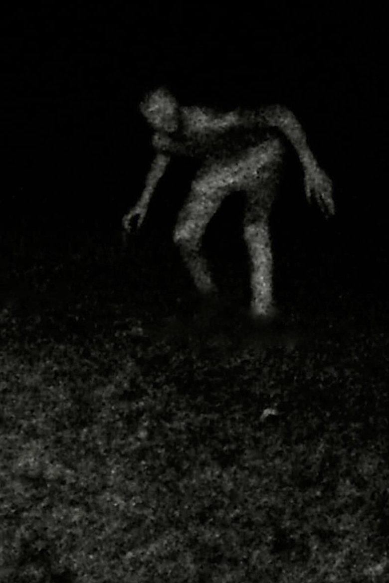 Poster of Stalking