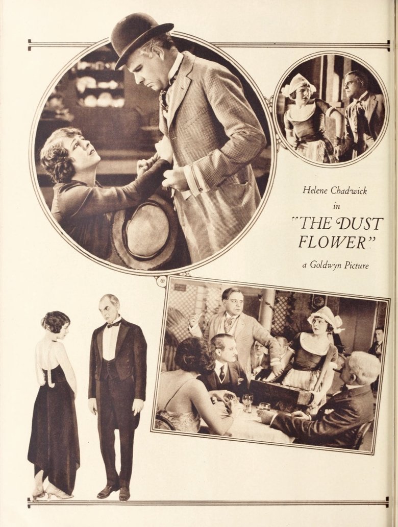 Poster of The Dust Flower