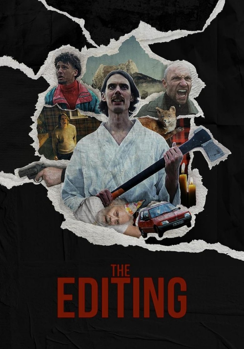 Poster of The Editing
