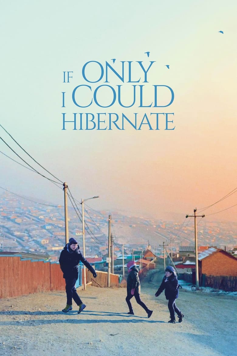 Poster of If Only I Could Hibernate