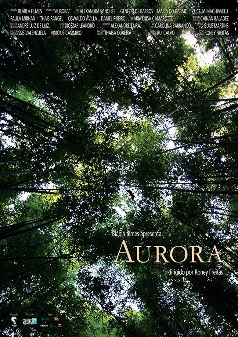 Poster of Aurora