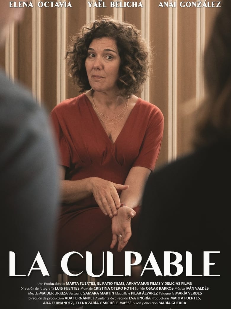 Poster of La culpable