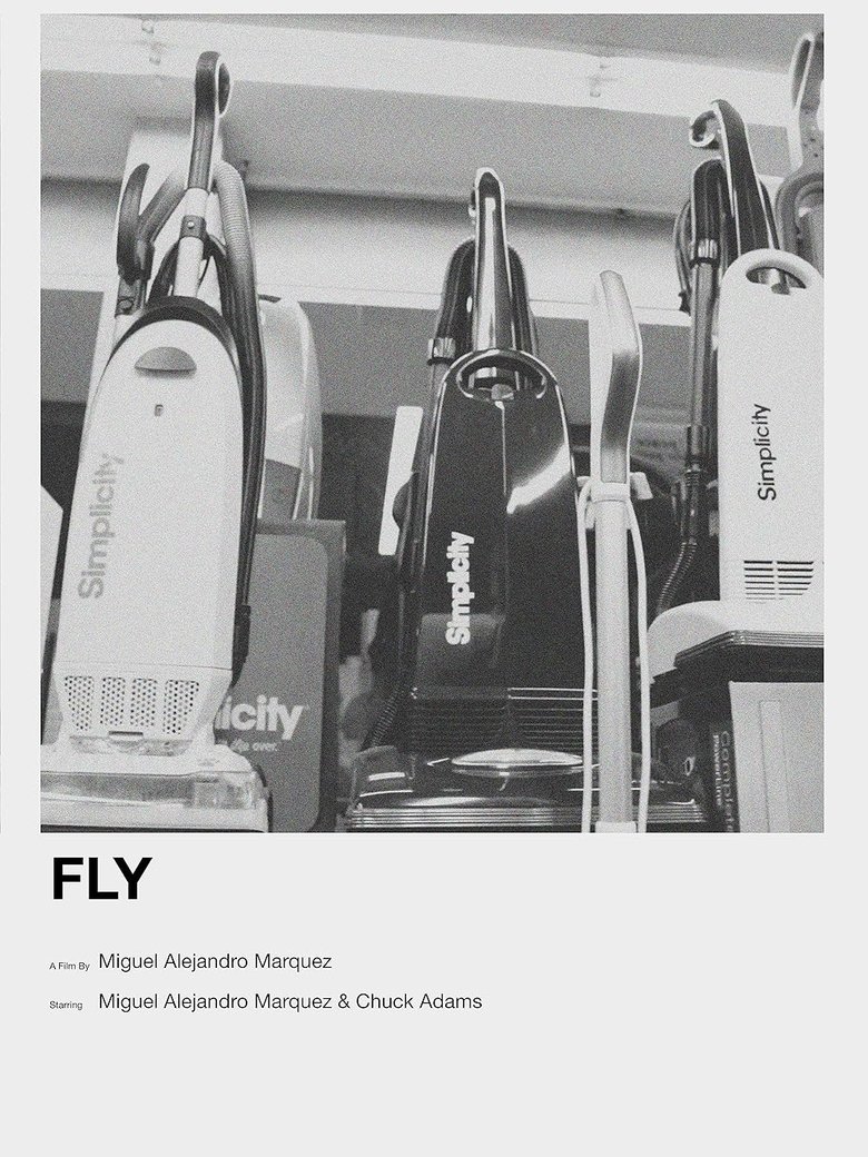 Poster of Fly