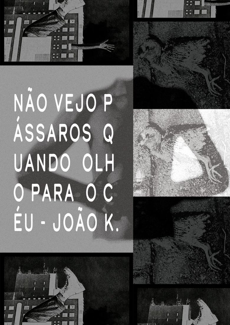 Poster of Não vejo pássaros quando olho para o céu