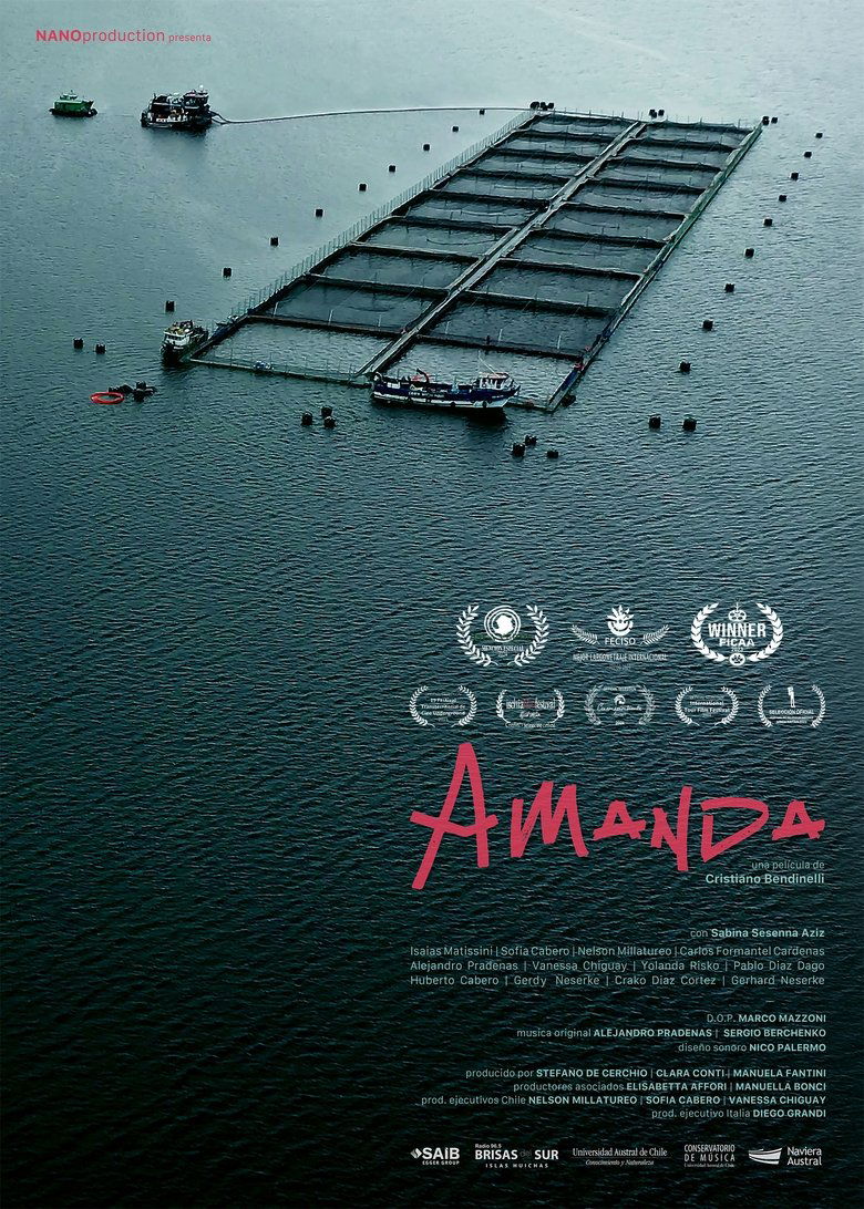 Poster of Amanda