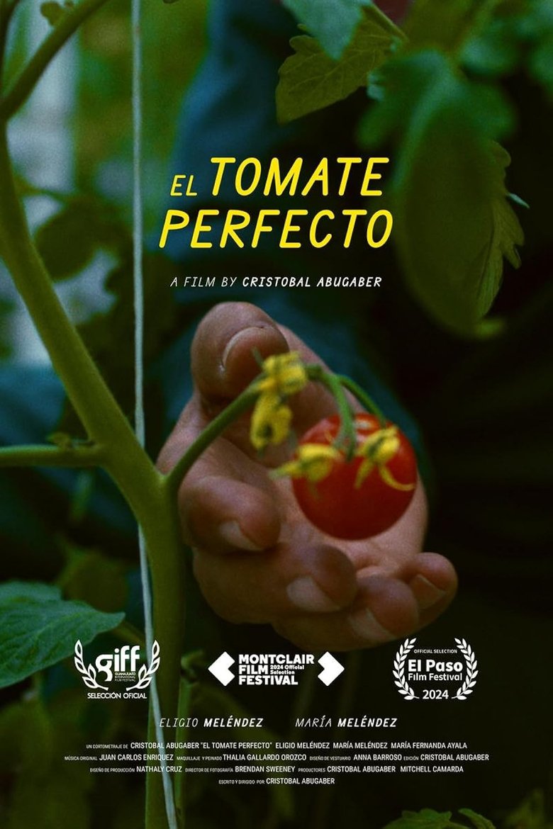 Poster of The Perfect Tomato