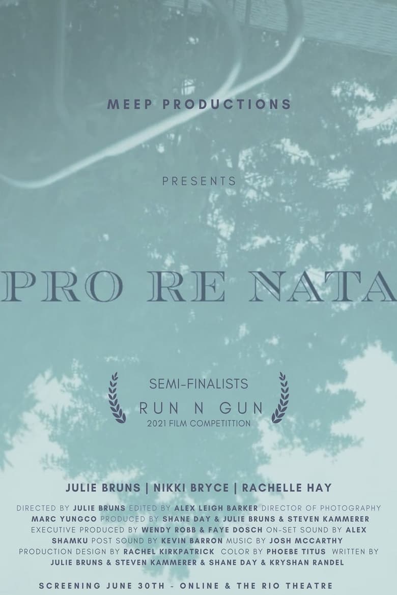 Poster of Pro Re Nata