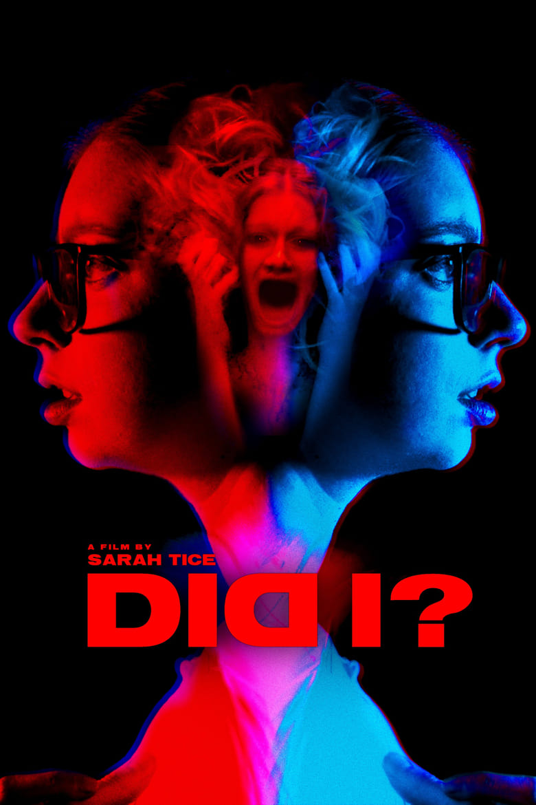 Poster of DID I?