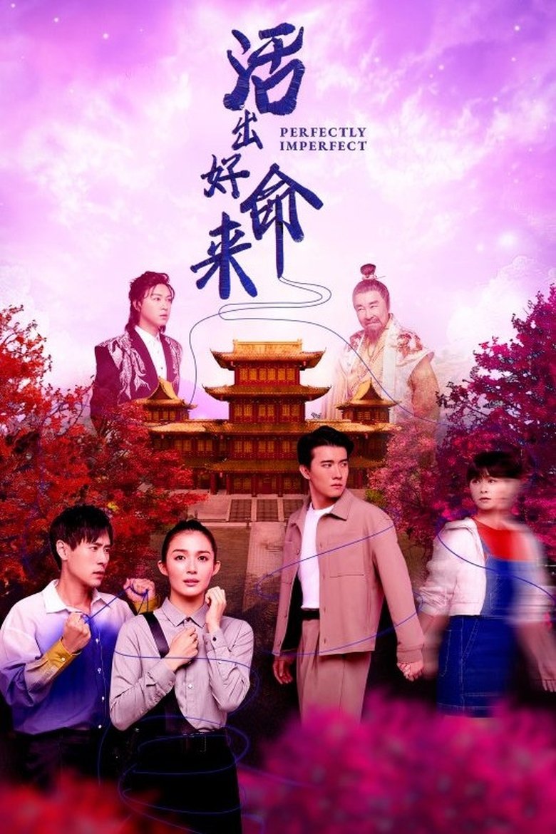 Poster of Perfectly Imperfect