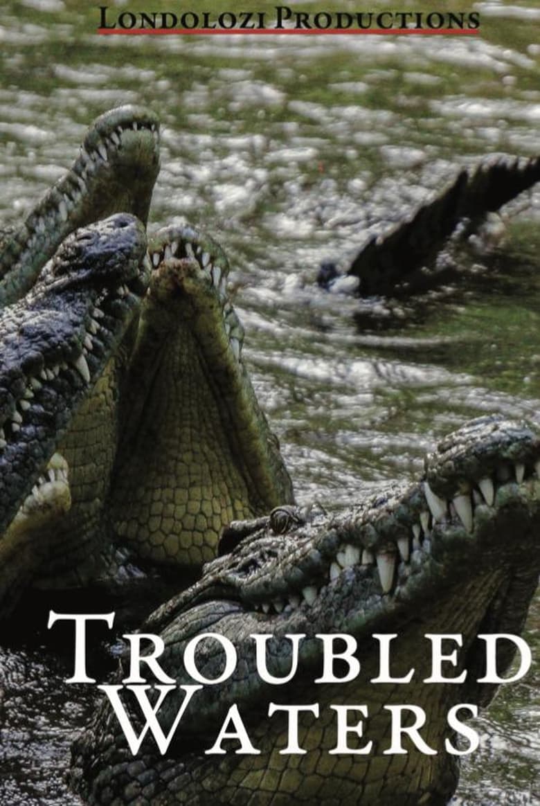 Poster of Troubled Waters