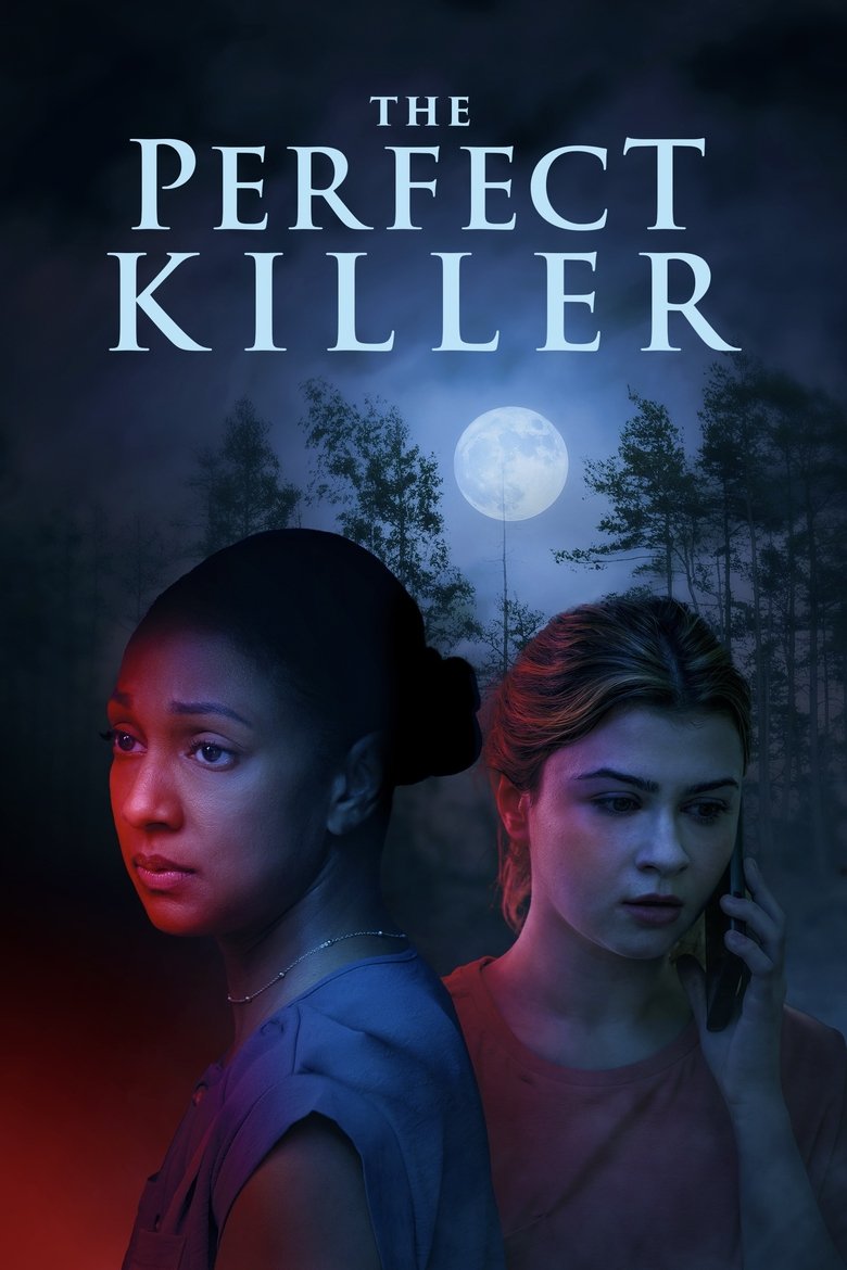 Poster of The Perfect Killer