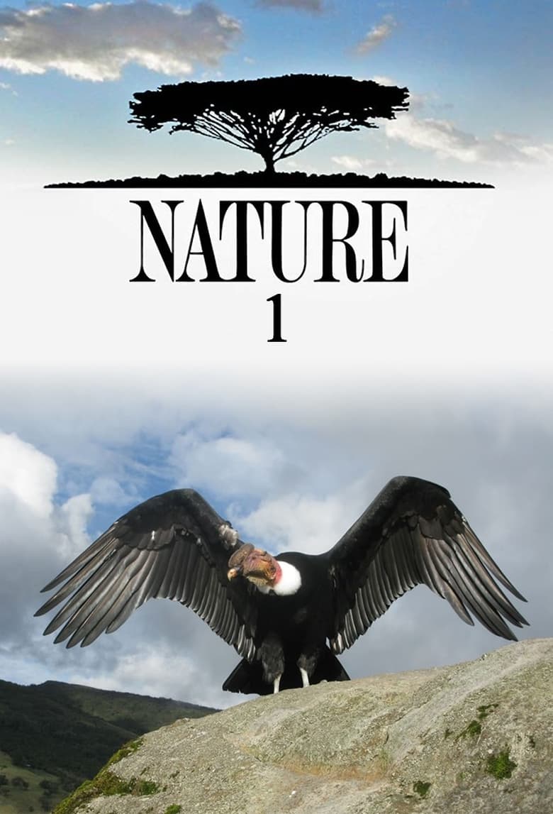 Poster of Cast and Crew in Nature - Season 1 - Episode 4 - Amate: The Great Fig Tree