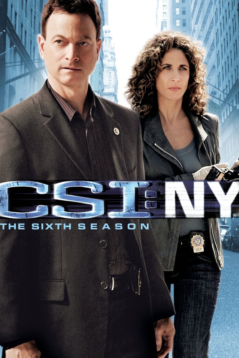 Poster of Cast and Crew in CSI  NY - Season 6 - Episode 13 - Flag on the Play