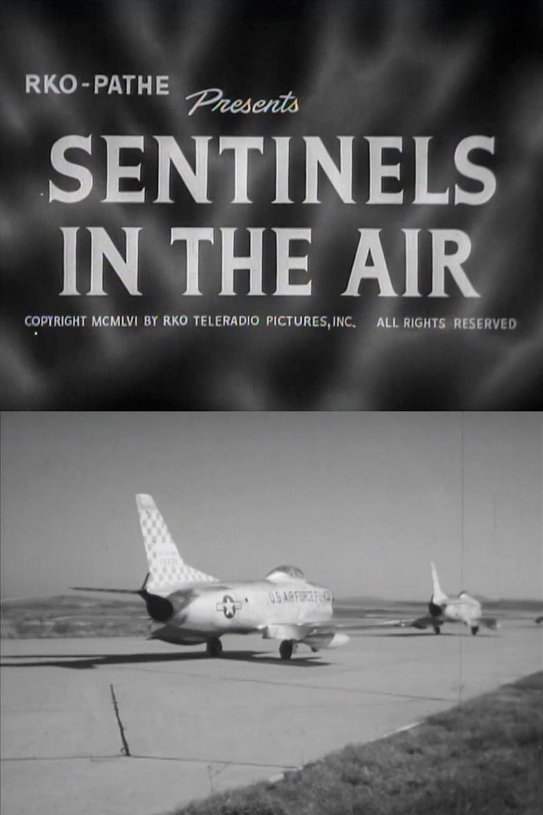 Poster of Sentinels in the Air