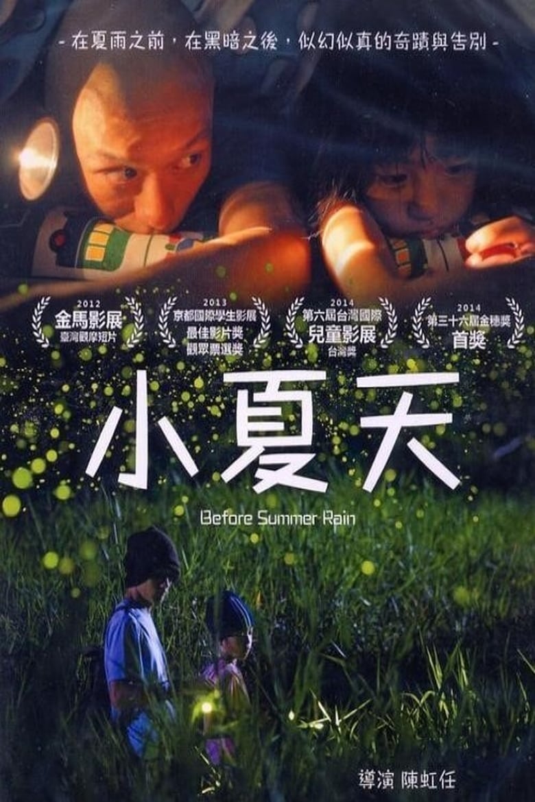 Poster of Before Summer Rain