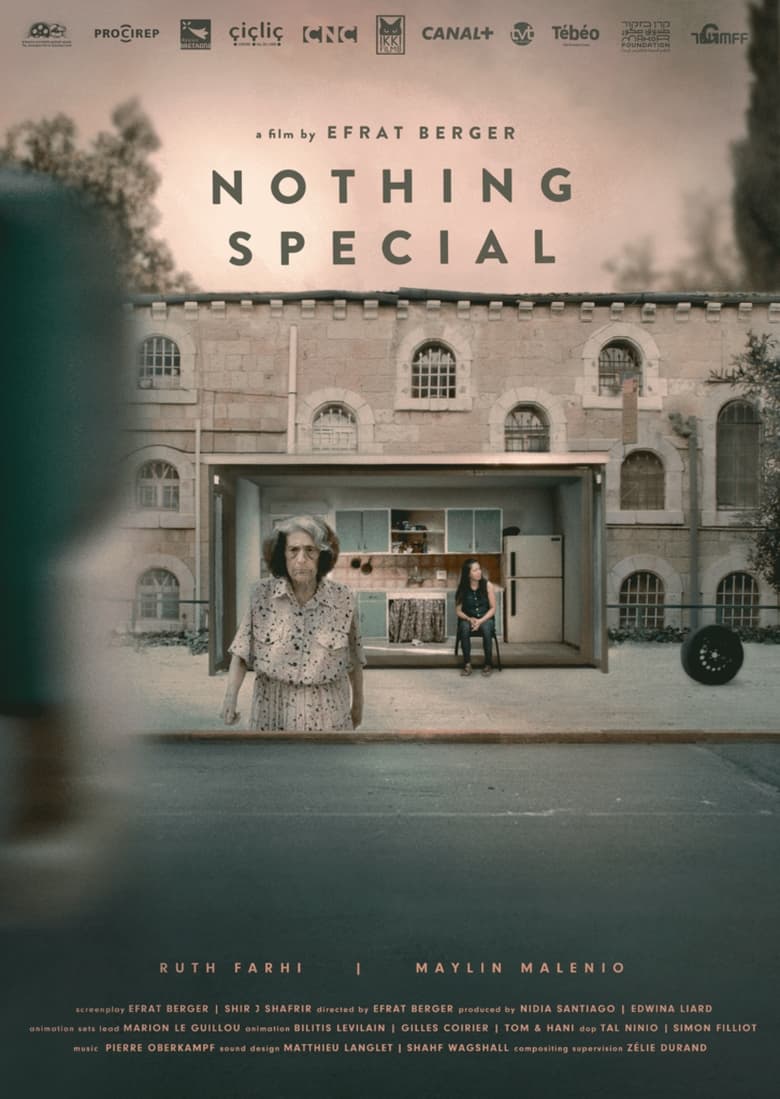 Poster of Nothing Special