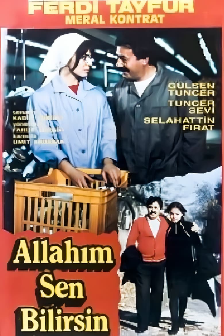 Poster of Allahım Sen Bilirsin