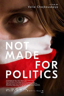 Poster of Not Made for Politics