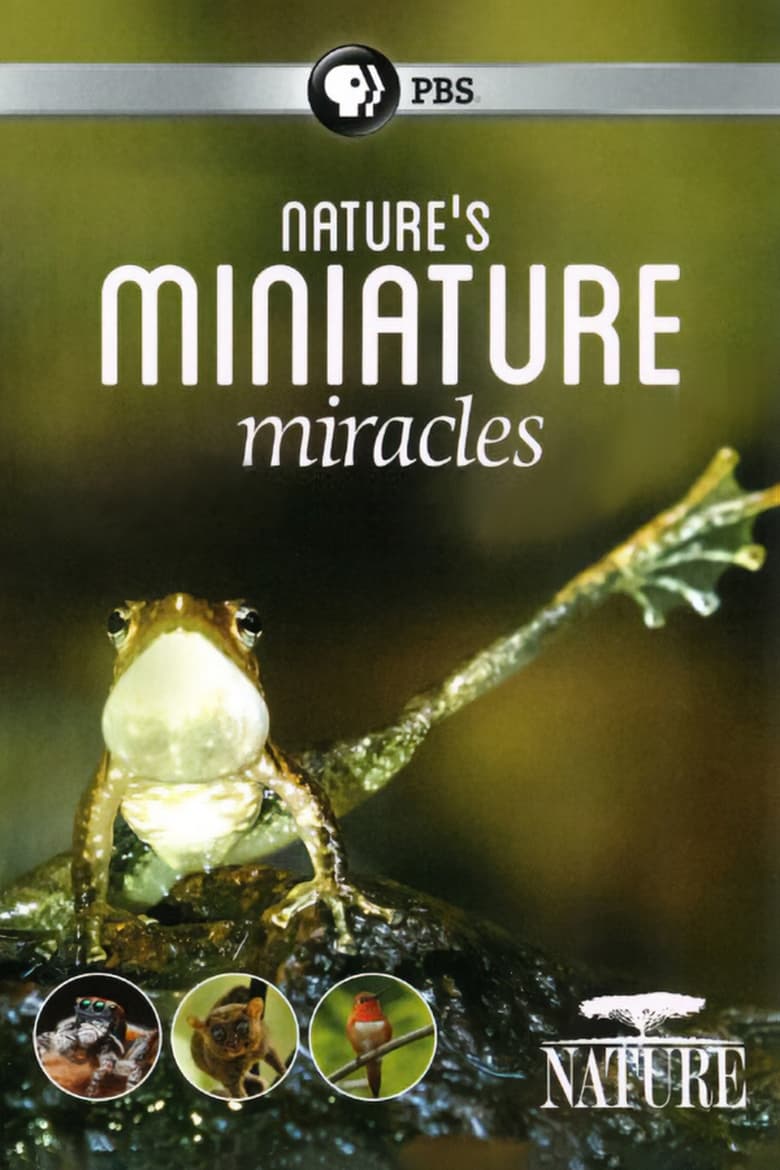 Poster of Nature's Miniature Miracles