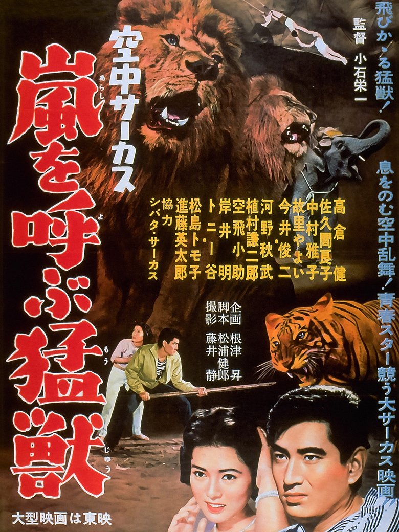 Poster of Midair Circus