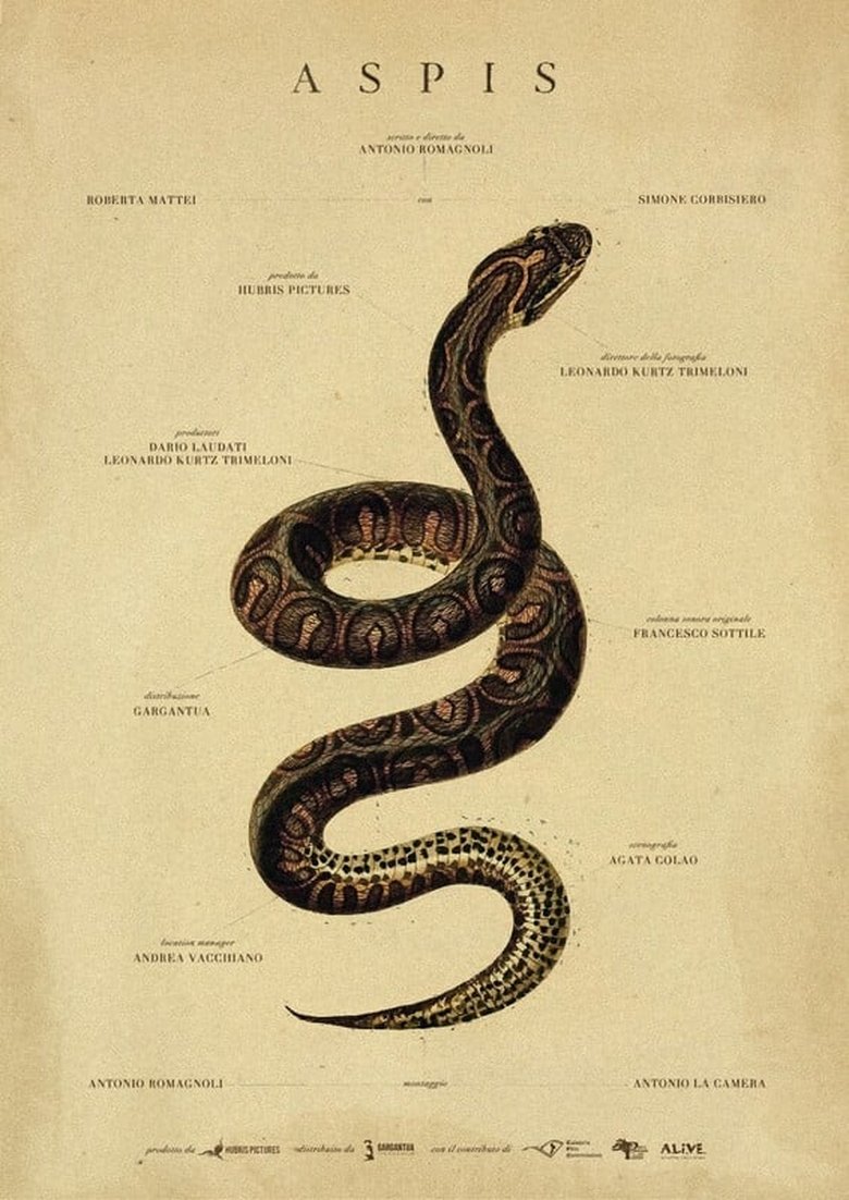 Poster of Aspis