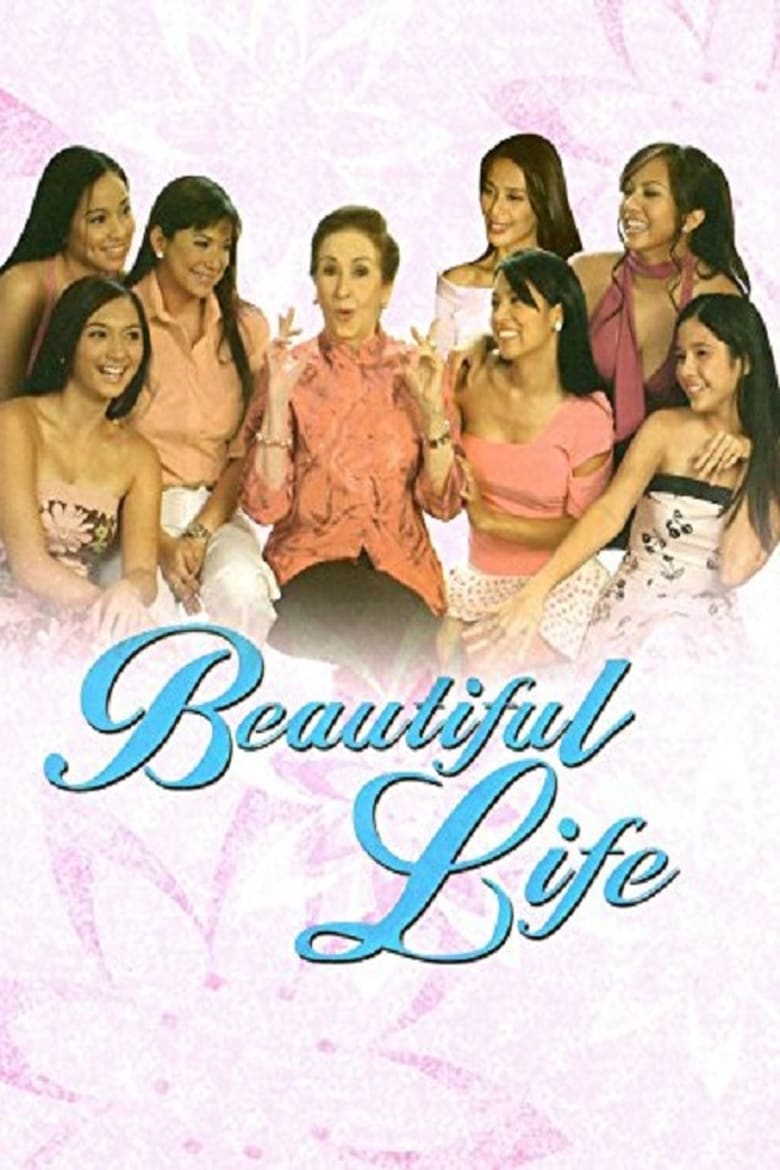 Poster of Beautiful Life