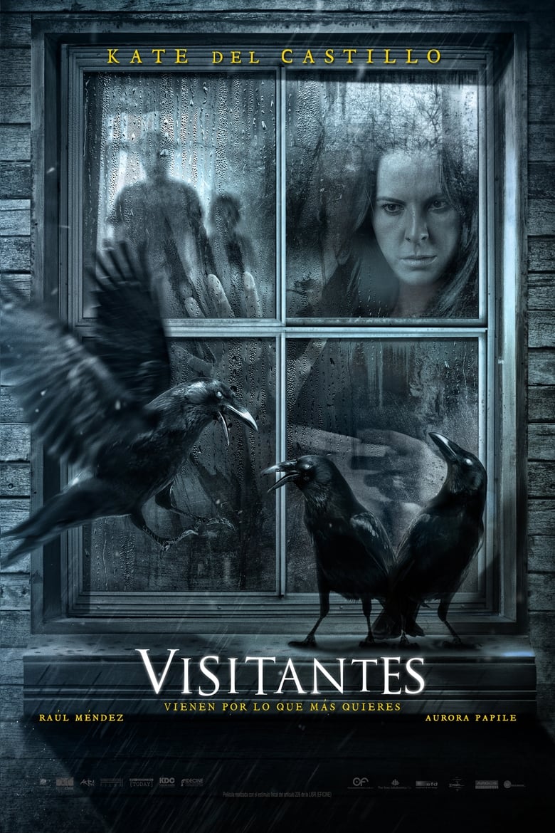 Poster of Visitors