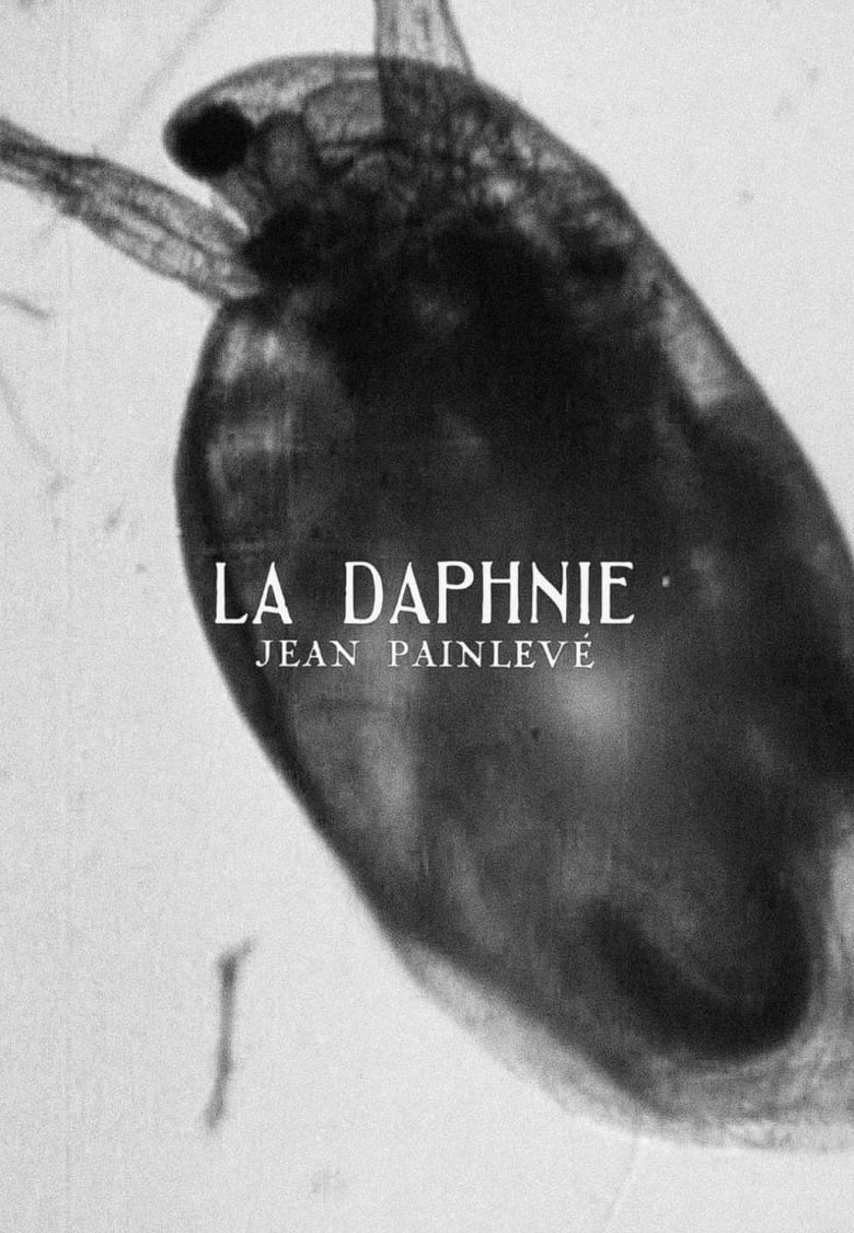 Poster of Daphnia