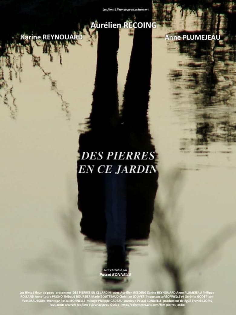 Poster of Des pierres en ce jardin