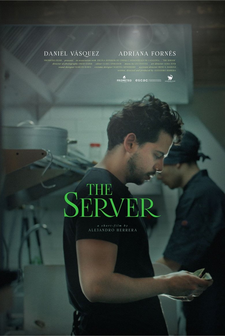 Poster of The Server