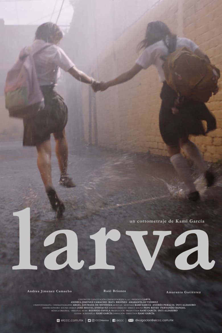 Poster of Larva