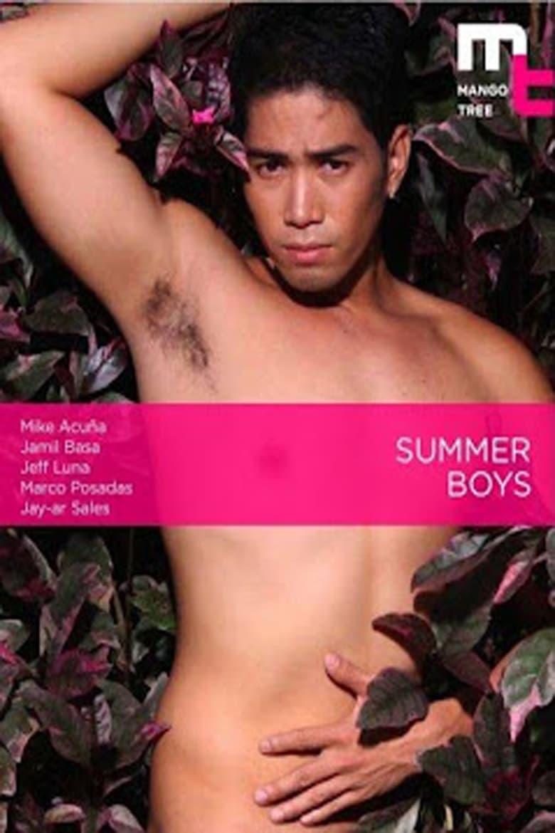 Poster of Summer Boys