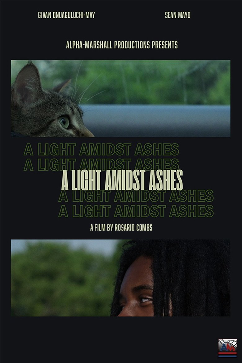 Poster of A Light Amidst Ashes
