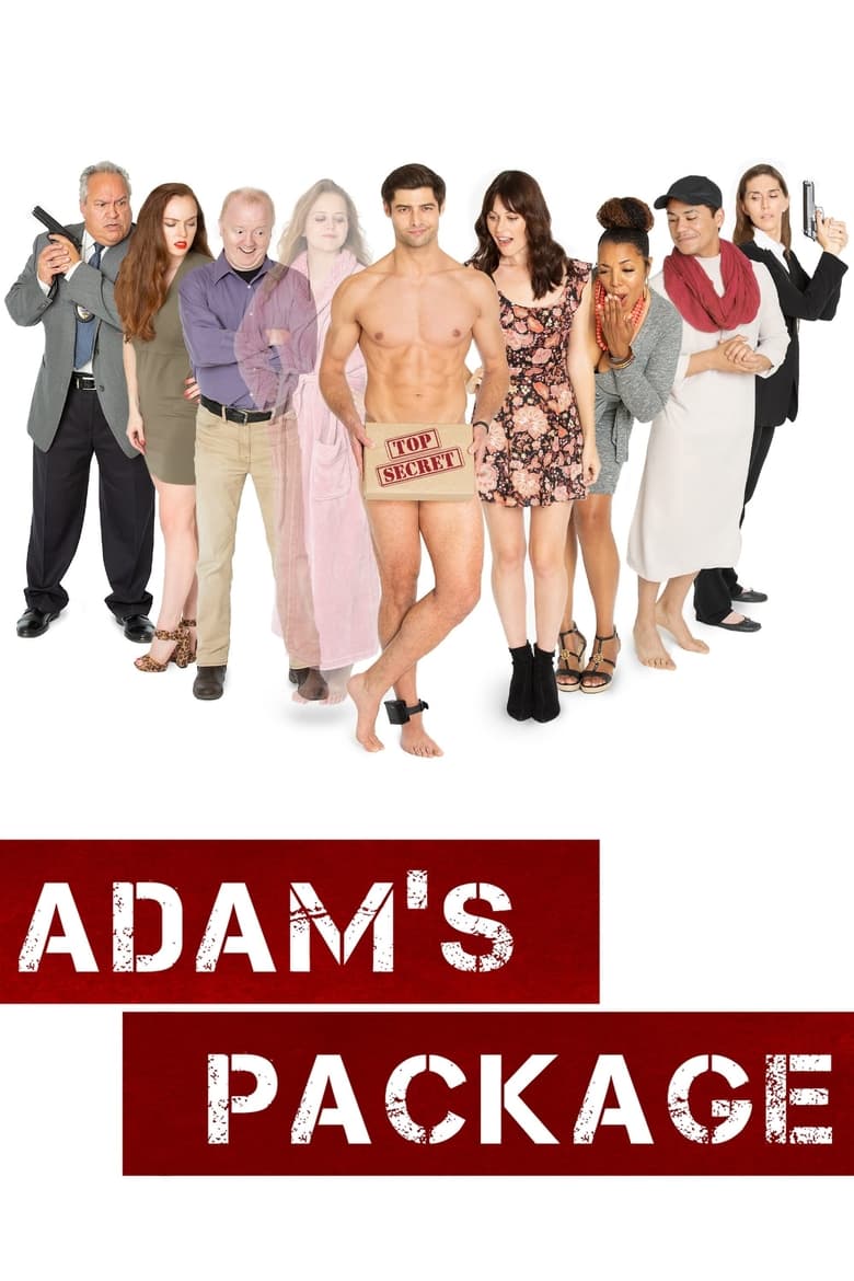 Poster of Adam's Package