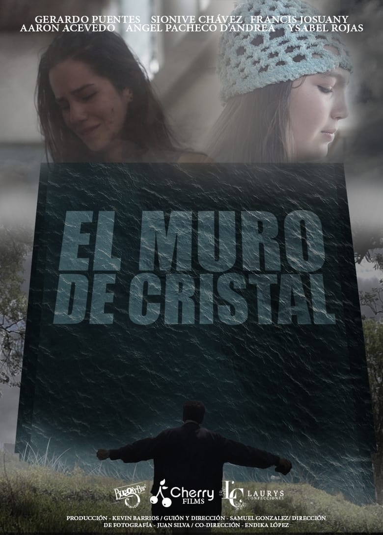 Poster of El Muro de Cristal