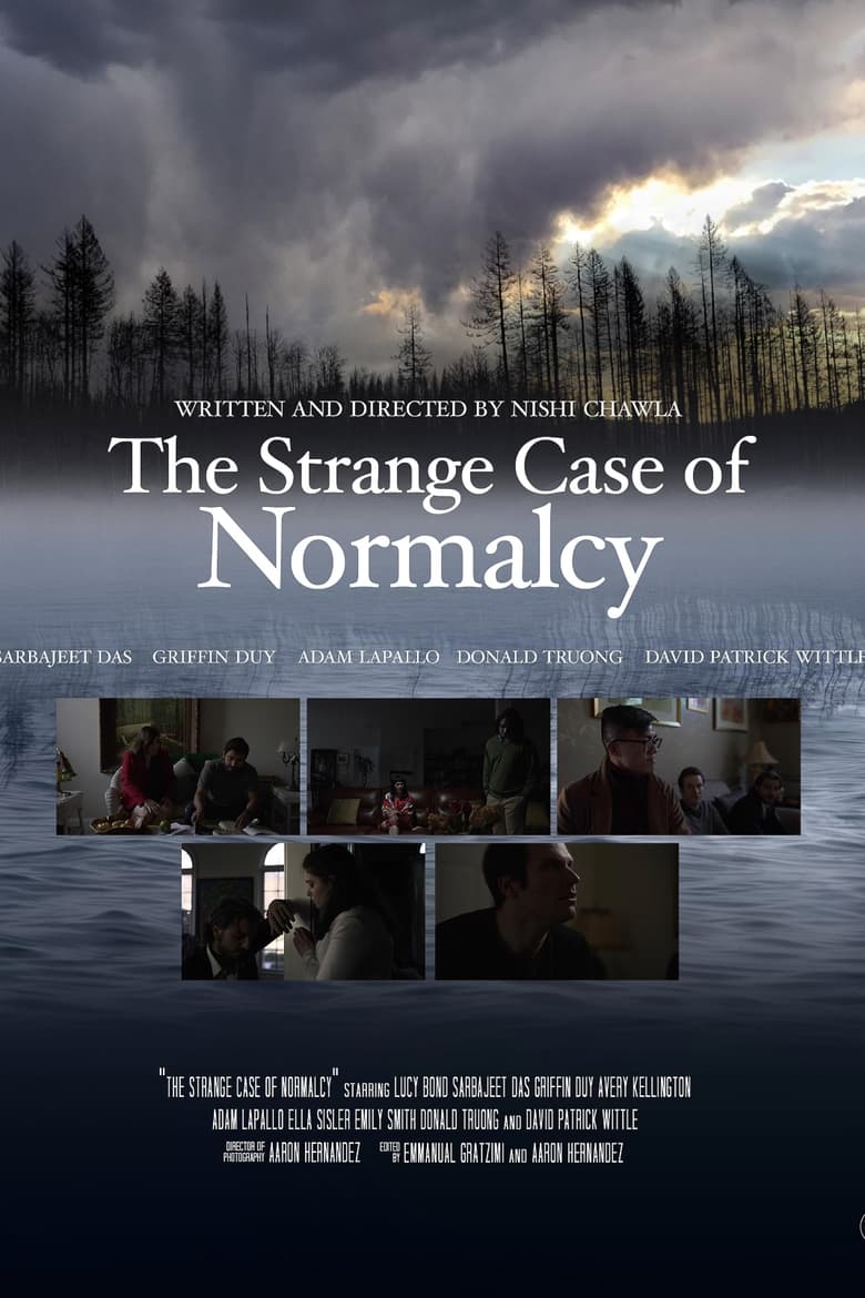 Poster of The Strange Case for Normalcy