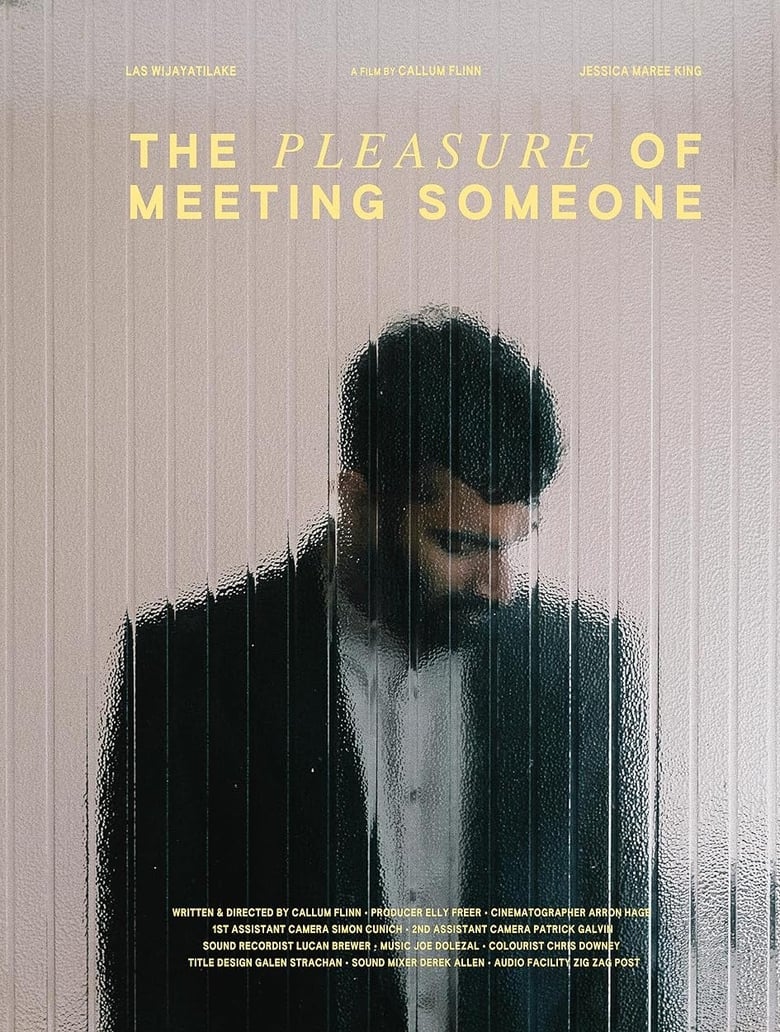 Poster of The Pleasure of Meeting Someone