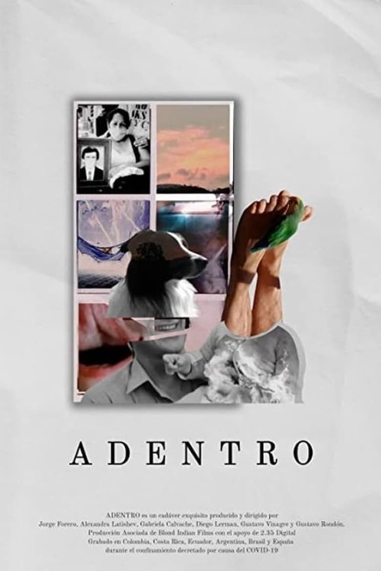 Poster of Adentro