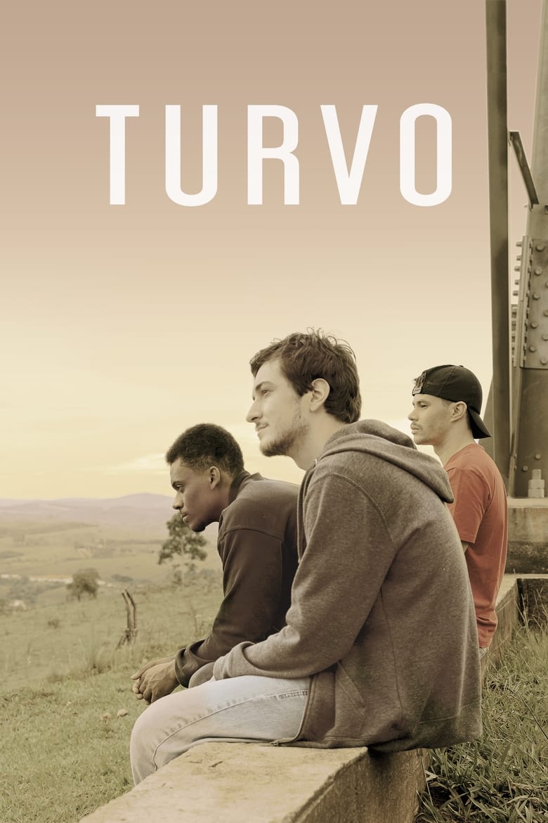 Poster of Turvo