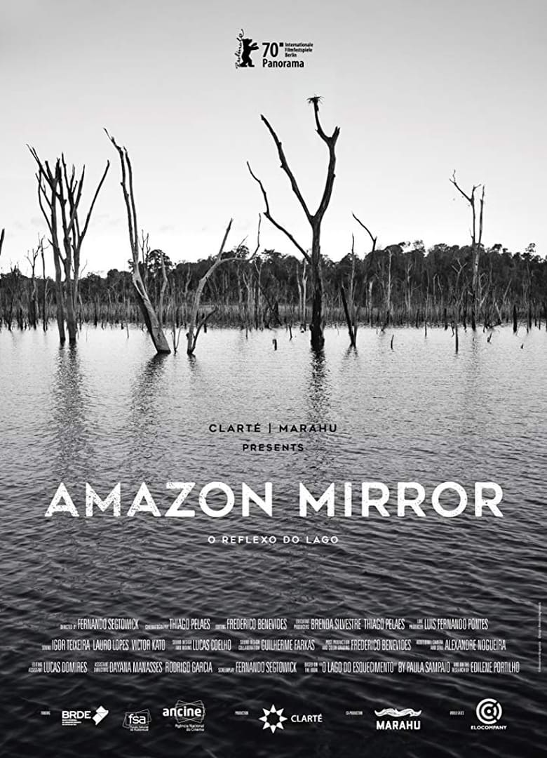 Poster of Amazon Mirror